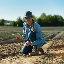 Должны ли КФХ без наемных работников ежеквартально сдавать расчеты по страховым взносам