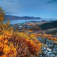 Вправе ли работодатель установить вахтовику отпуск на период межвахтового отдыха