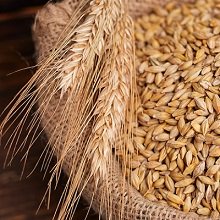 Минсельхоз введет новые нормы естественной убыли зерна при хранении