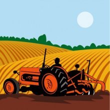 Росстат обновил формы отчетности для фермеров и сельхозкомпаний