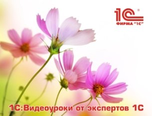 «1С:Зарплата и управление персоналом 8» (ред. 3): Отражение в 6-НДФЛ больничного за декабрь 2016 года, выплаченного в январе 2017 года (+ видео)