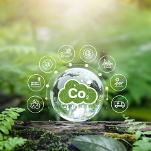 Росприроднадзор назвал самые частые нарушения на объектах НВОС