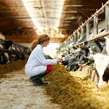 Власти изменили ставку НДС для отдельных видов продукции