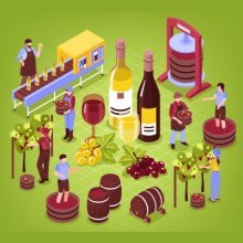 Минсельхоз утвердил форматы декларации об объемах винограда, использованного для производства вина 