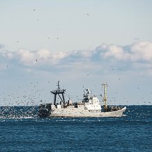 Власти расширят состав госпошлин, уплачиваемых за освидетельствование маломерных судов