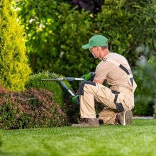 Выпущена версия 3.0.182.2 конфигурации «Садовод»