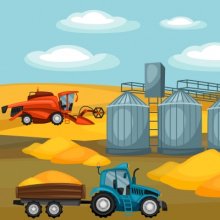 Организациям временно запрещено списывать потери от недостачи зерна при транспортировке