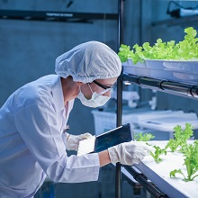 Инновационным компаниям упростили правила участия в госзакупках 