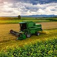 Власти сохранят ставку НДС 10% для семян сельскохозяйственных растений